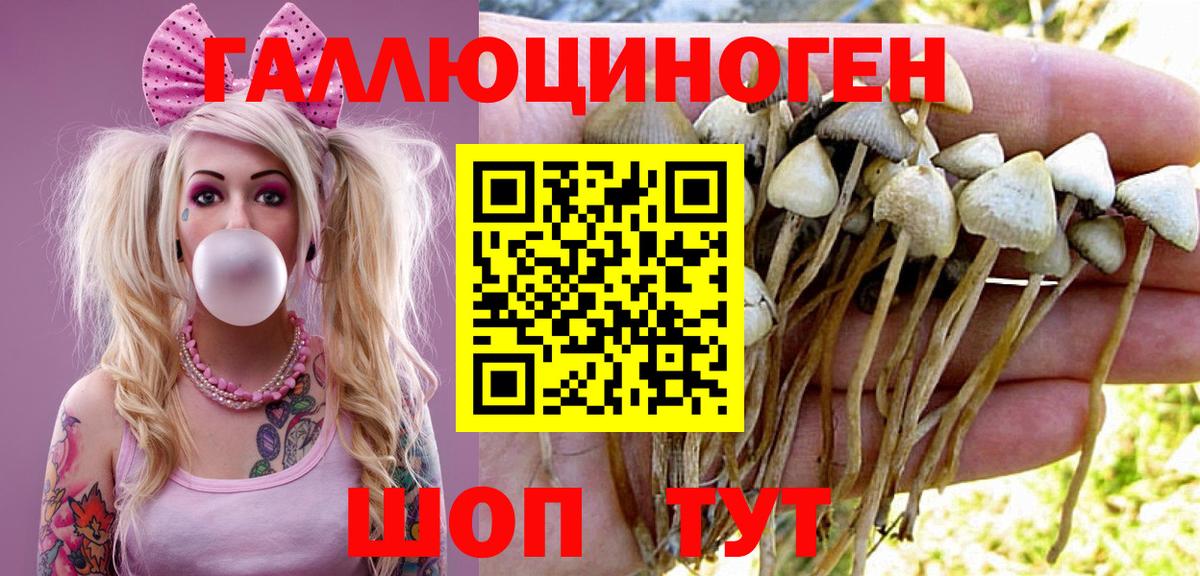 Электрогорск  Галлюциногенные грибы ЛСД  купить наркотики сайты  Вход с VPN 